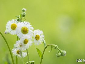 網(wǎng)戀一年半的女友小伙當場反悔(網(wǎng)戀一年半的漂亮女友是這個樣子)