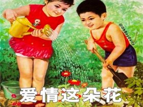 異地戀十年——現(xiàn)實(shí)將她們的夢(mèng)想擊的粉碎