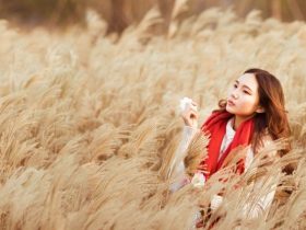 占卜能否幫助你挽回老婆的感情？專家揭示真相！